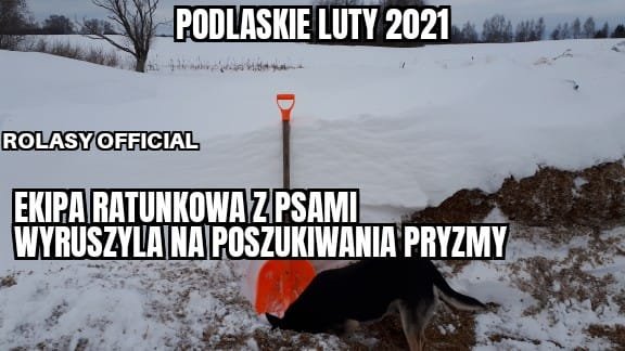Może być zdjęciem przedstawiającym ‎śnieg i ‎tekst „‎PODLASKIE LUTY 2021 ن ROLASY OFFICIAL ΕΚΙΡΑ RATUNKOWA ZPSAMI WYRUSZYLA NA POSZUKIWANIA PRYZMY‎”‎‎