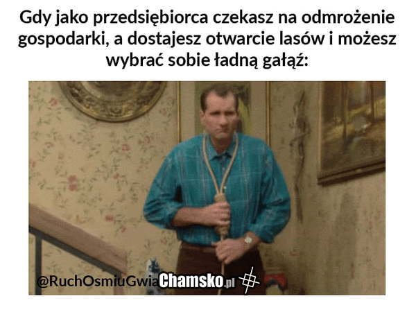 0_1_100829_Przedsiebiorcy_przez_pluszowymis.jpg