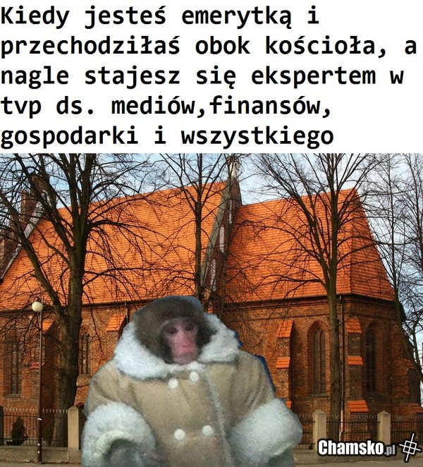 0_1_106715_Tvpis_przez_amb00.jpg