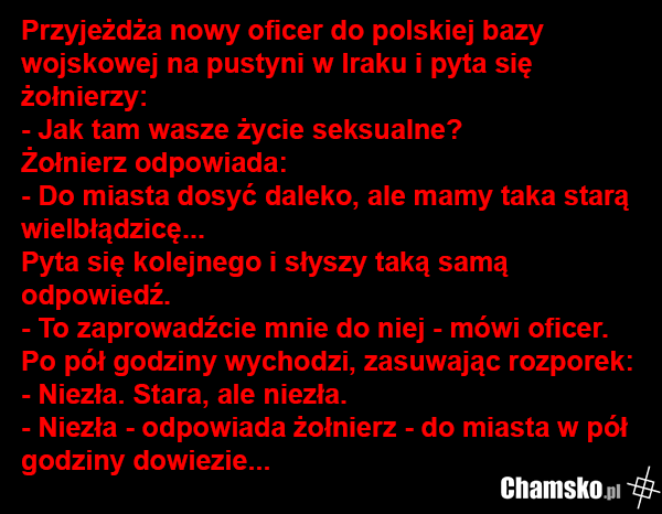 0_1_82889_Stara_ale_jara_przez_drinos.png