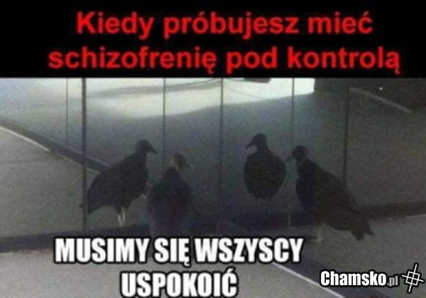 0_1_96847_Schizofrenia_przez_Luca2017.pn