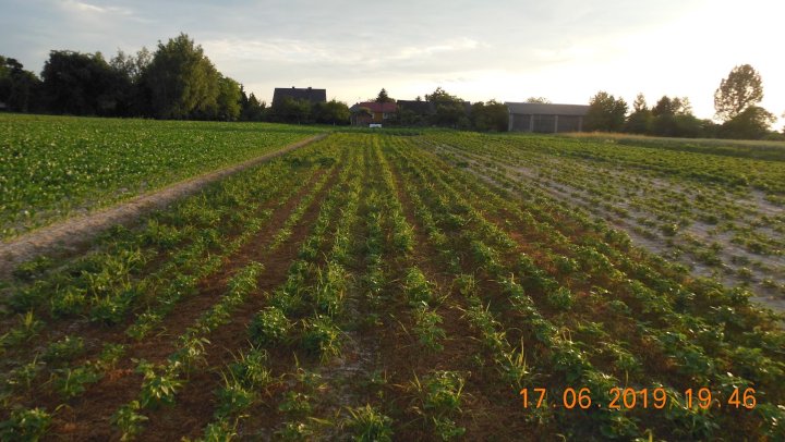 AJFCJaUqjDfwMTPRtAPVvu3RWVUX7QPTHeeeNge5