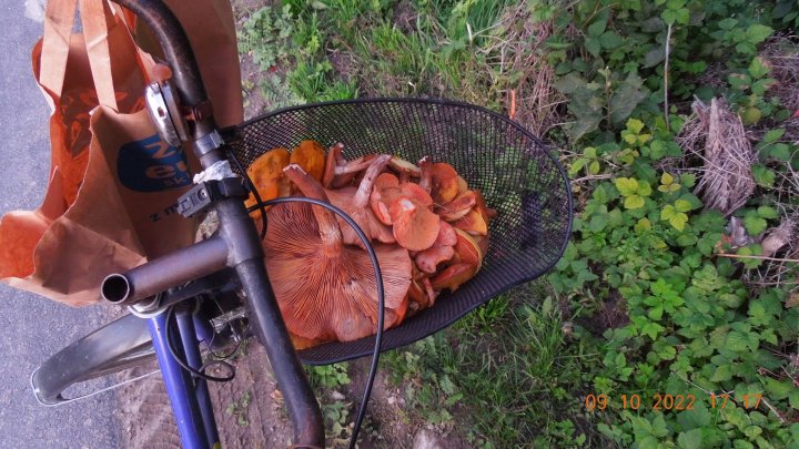 AL9nZEWcXSaSDASDBU7WaF4ngL-1c5FAv4P-Xkww