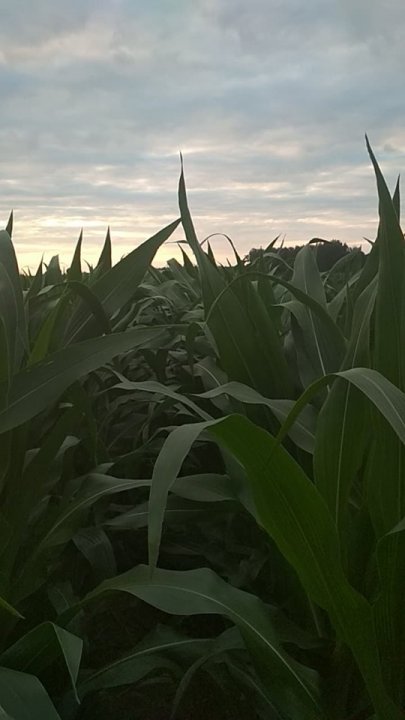 106963033_298320347883385_2146175598296504419_n.jpg?_nc_cat=100&_nc_sid=b96e70&_nc_ohc=xHnoklSyERgAX9zW4f4&_nc_ht=scontent.fwaw3-1.fna&oh=2b5725802d945d4b5c00543a09e74c02&oe=5F29AC55