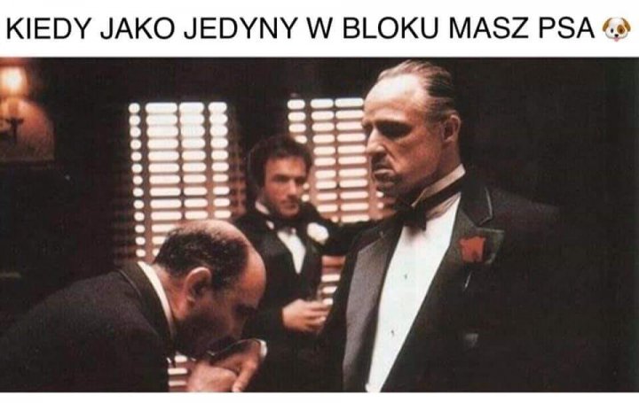 92572790_3725743464133363_88098187369586