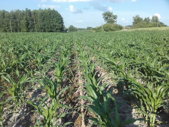 eAETVogHmVGskgwhWAF28Nj5u8n-vc9Nq7pM8Vrtj2BWej3uHUqpn4S5fHQ1gd4LGSk1Q9e7psK2uiI30Cs8fZXvYKdeGSPbU0J29aHDEbwmVBGsUbIfJFesHYDdBt-5OFR2J8xh6jYWUhaaVXi3Hi-7Qq3K5NW9c_5LKrPSy2Srh163RasUpKoDYNHMJKspK1i0uFnGqMKts-B8nvQhN9T67xI-6rZGGGvNyqKDPnLa5yPGPTNmwZxF1qiNign3SV6N-m1hA2Mi1R2hisZTSsHw7b3EE817pj2Ib1Z0zYOiocqlJP4BuZmH5topcOa8AfKLYBpH9xZcdA3JRKIVwVQAYviPPB55zgMdwLqaCynQdJZJIGkAC5nszUgX1pgaFg_EZV3IxCGsicSbJFt_XSnHaSb6_3LCmaK44-iaT5Wn1tHPUCAlMvjRlf7pEmU5nTZHpqRu5MiLyoLadHJn_CE1yev33z39D3WvX7ziibMw6cqVU4b66v0kFUsMAUjXtuEopdjgcw9r0E7FPsXdZe63A6poFD74UXJxTnCWxesdb3rd7WLxKb08xMtkKSxGxQkCYZN67dd0BbmYskluZaMRizjVBklmskltf1MRMDa29Wz_oC1W31Deo41-v8NUkRudaOcPIV3WEsxu-uQ4TTpNywc7XervNFAy-fmPBRa3c6l4SsQF1sU=w876-h657-no