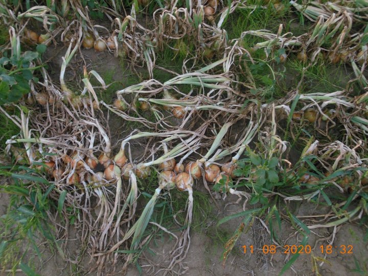 AP1GczNN5Y7kfuMD6DeivawqeBkEPbhKOGGALPrI