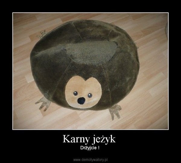 IKEA pufa karny jeżyk jeż - unikat | Warszawa | Kup teraz na Allegro  Lokalnie