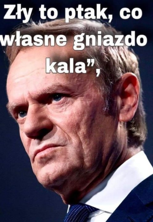 248319947_254329143321570_63151034154917