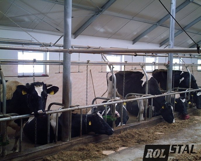 img_2837.jpg?itok=TL7qUnmf