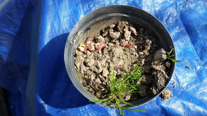 AJFCJaW7h_JySVbzBvfueHqwPraamZMka1MPd7Hg