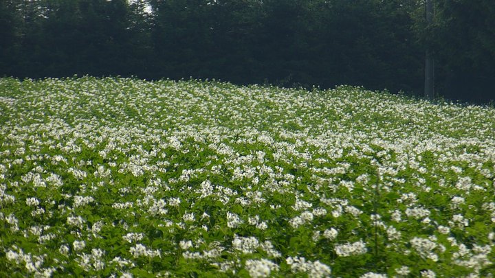 AP1GczPLkSRjYEs4XO9s40rVNiAe_d5aO5c4W0_3