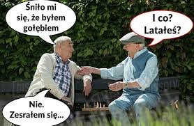 Sen o byciu gołębiem – LOLS.PL – Najlepszy Humor, Demotywatory, Memy,  Zabawne Obrazki