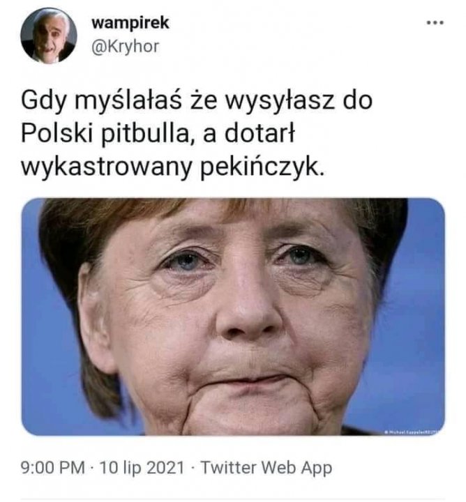 216438784_157456716452925_86433069284892