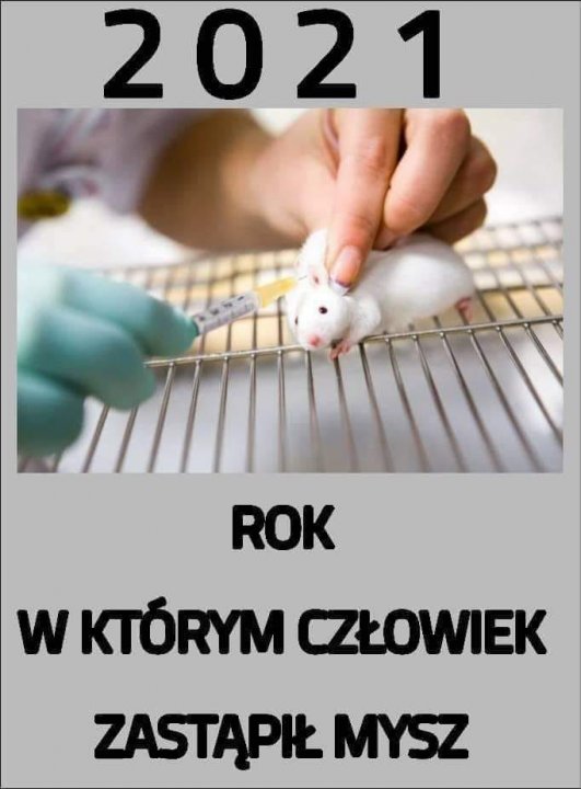 Może być zdjęciem przedstawiającym tekst „2021 ROK W KTÓRYM CZŁOWIEK ZASTĄPIŁ MYSZ”