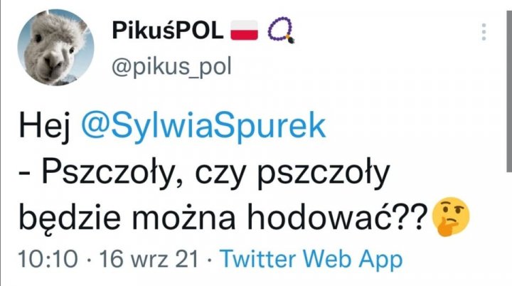 242028887_3000469076863168_7204190082107