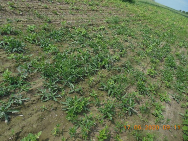 AIL4fc8cm2UQGhaYrnryKQQ0BGlDIn2ALjsgTe8N