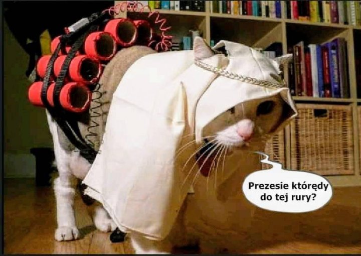 118764993_1721591581338700_2470281396514