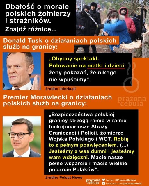 255340295_4575836102438787_8078410563146