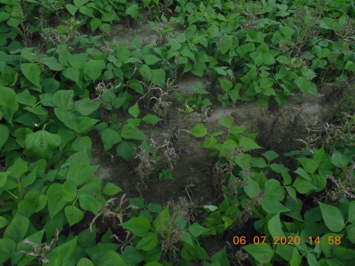 ACtC-3dG8Bxv7auv47g3VFmOcWpRsutMzrfYT6qd