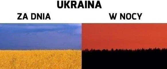 310749980_1262918107876719_2845108041330