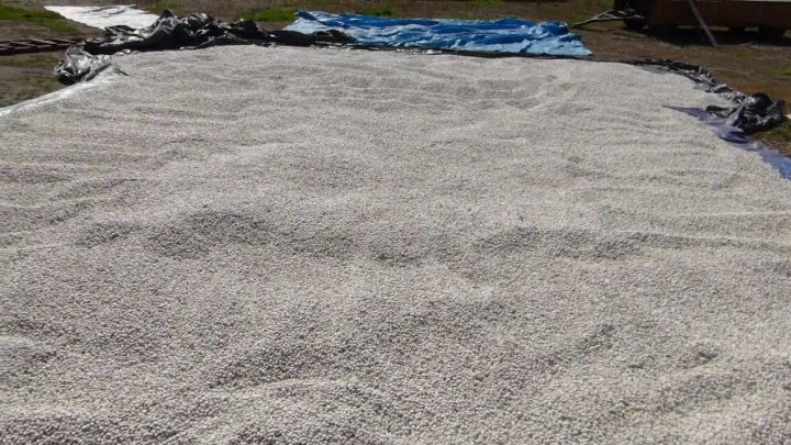 AIL4fc-e_dMIeuOzO0D2nCDCdEXR9GkGlXvOGhra