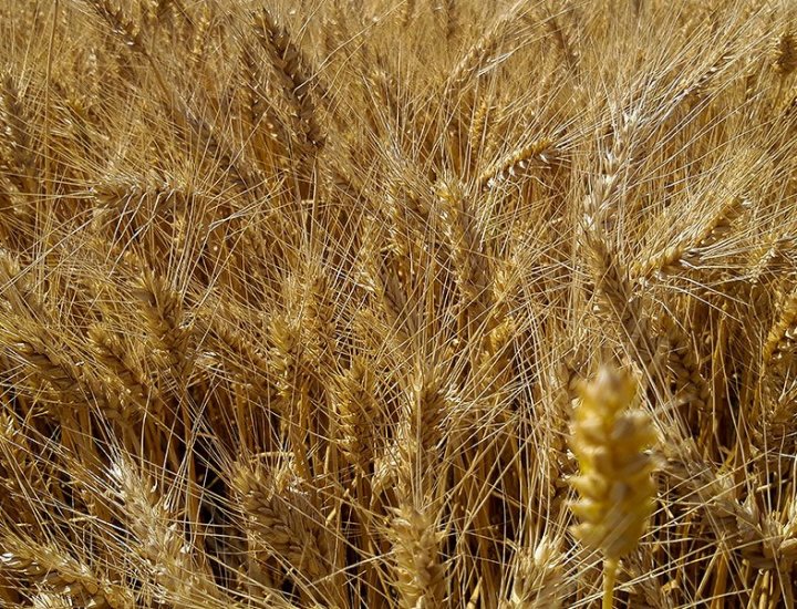 1138053637_Strona-tytuowa.jpg.1074ba72e3