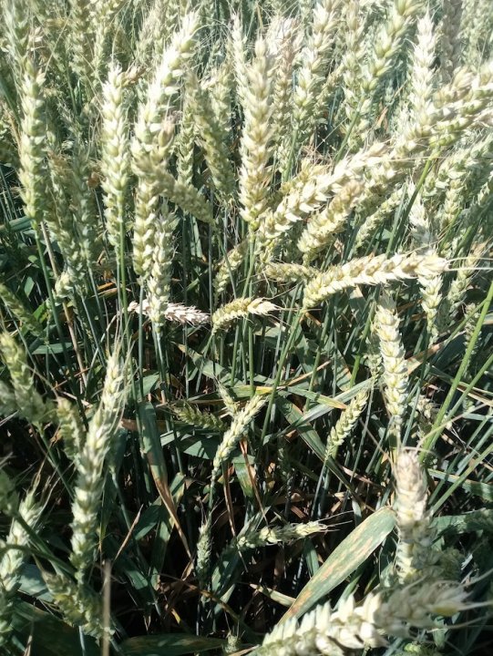 s-qbPLqznE7gmRZE3OT5YjHLErP2LAgxkS5gVxoC3DF1h5qZJWLX6H9ahUvF5j6K2iCC26PM_xewrakTIeY2L25RxtrB_ebqrHjqp0X9HFmy5aMOjnRM5XXemP3OctoiWyvsIjoOSQdQbMNtt-hfpHsM6pnrdNqO5oyS7zK-Xm2neeRx3EC_EuNr-vg2QQEnqD1Oyl3ukTGSDctMaEUVvXDUT3QQsEPlfitpyUExN7tBQSqUwPi7-iriw0nUcOdlyq1SHL8tJ7WqxtHkQr3y_5Y2biIKH9_UIsLcfVIn7pJ2FbLZ0hGd0F-jDYo_IsO_cTtzIPrGn4xuFlL0tNwv17Ln2oLQbxANQZcDA6XOBZlCbV5foFD8l_m0ONnepZr2ckNT8UTqpq16dwpxkcMxGc1psnB_X3wJipn3juzQtxzeBKvEYHhqUB8qkPG8gCWtICamZWb-FlwNrWnrO9W4eBxuWuz6zzRpL5bFA5untPWnTtMvtQ_MWIqnVETFurLARkyV1DvmoC4eDW5t68A0FvLGOY98QhDlcJhEAS1xcxavJAimtL7KMEgavQem2rCgSLJDcV2D8Tm_KF160HVmjniQ1RLiSNi7_iSpdDKdlKDUcDv3KCLSJruVZieb4VCJOJPnCbjhCkUjKGr1JIGizajJKbru9fyWwr0XAEyHQyAb6JeHpTfK9xullLsDv05sGQ68TB1RnEhtYbkhmkIeLFgoIzGCBkxy4GzMyThd-yqv7FdmzB_gXjlRcAE=w703-h937-no?authuser=0