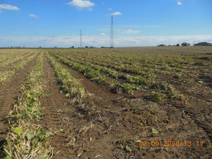 ACtC-3fF5ElGm16qb3T2v55vZkdF_lOdo-zfDEsR