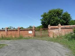 images?q=tbn:ANd9GcQus7cePCj3SXTc8a1t2vD