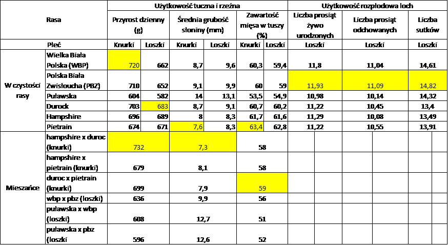 u%C5%BCytkowo%C5%9B%C4%87-%C5%9Bwinie.pn