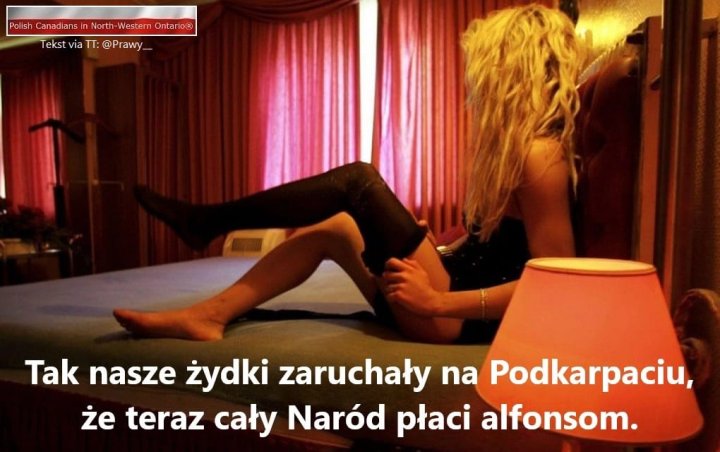 307751358_123977137085242_75085765553900