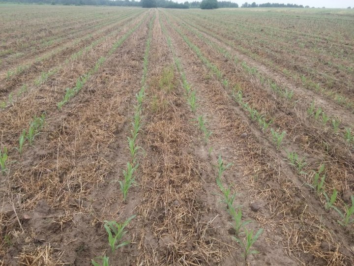 sUQIRLyiWbEoGAsRks1yJ6ojhKlvGtQCM8tCCnDZ