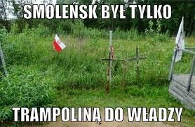 images?q=tbn:ANd9GcSzqbQmahBzTdO-m2M1-Im