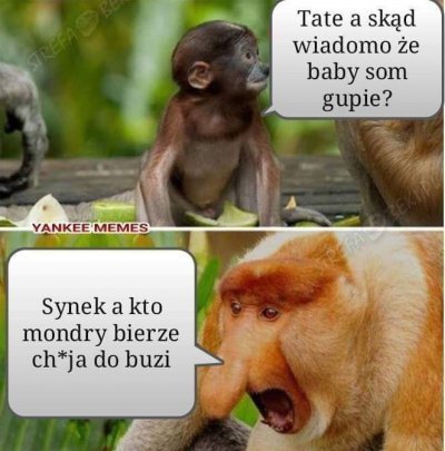 comment_16118897941tq6gvaYmSyZSIbni0Wkix