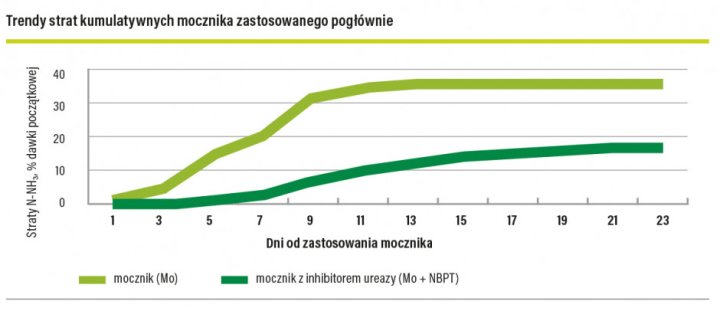 Jak prawidłowo stosować mocznik z inhibitorem ureazy?