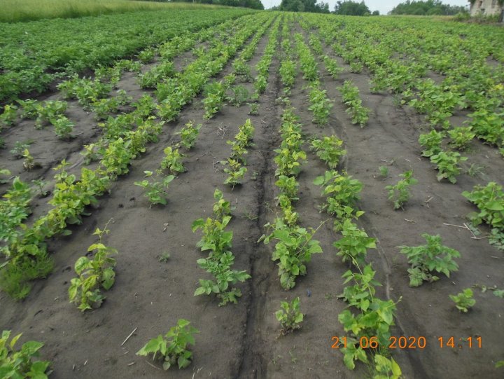 ACtC-3dAN5V-PaeTmlmzi_8iPf1fTSBJFK05Yaz3