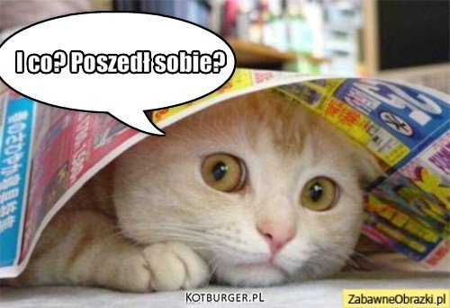 I co? Poszedł sobie?