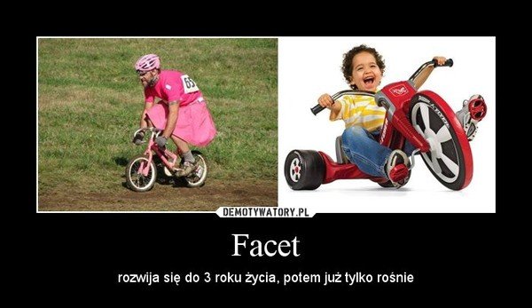 Facet – rozwija się do 3 roku życia, potem już tylko rośnie