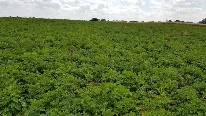 m4o1gzi_boFd5c9jNoMRdKWpXmKMP1uXiEcT6Fq5