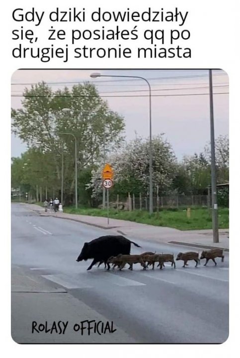 280316064_538067264380776_23606381193238