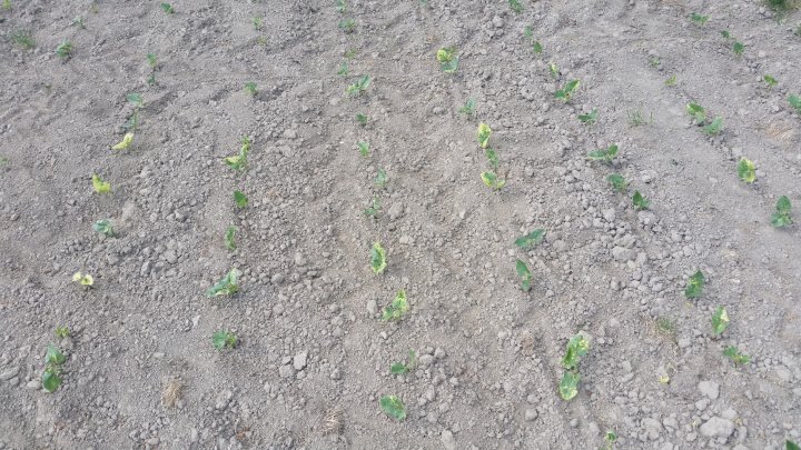 AP1GczPMmej2xHdpHcdclbkecmHG1b0Tl9rWYtL4