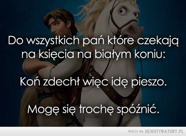 Do wszystkich pań, które czekają na księcia na białym koniu: – Demotywatory .pl