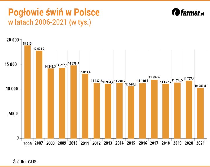 Polska produkcja trzody zmierza ku upadkowi