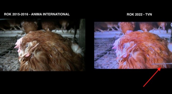 KRD-IG o TVN: Spreparowane materiały, wycelowane w emocje