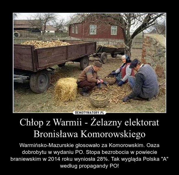 Znalezione obrazy dla zapytania top farms komorowski