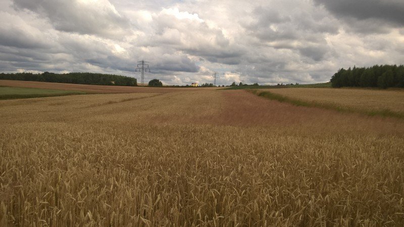 145f88407410410195e5d26c1a77c115_orig.jp