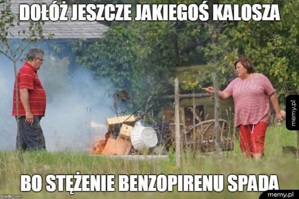 Memy komorowski / komorowski memy (#komorowski) - Memy.pl