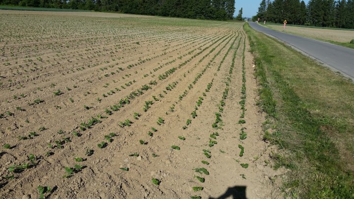 AP1GczMRZ_jVAnhHpd6JPhQXtKhG3uy9rap0Jfl0