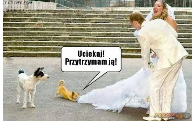 MEMY o małżeństwie. Cała prawda o drugiej połówce | Dziennik Polski